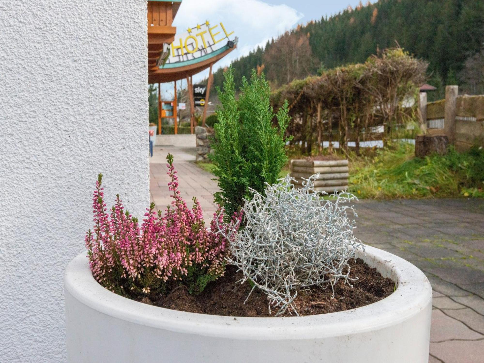 Lovely Apartment With Sauna Ski Storage Pool Terrace ヴァルト・イム・ピンツガウ エクステリア 写真